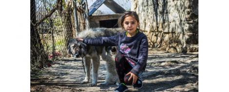  Images of Diversity- The Romani in Georgia